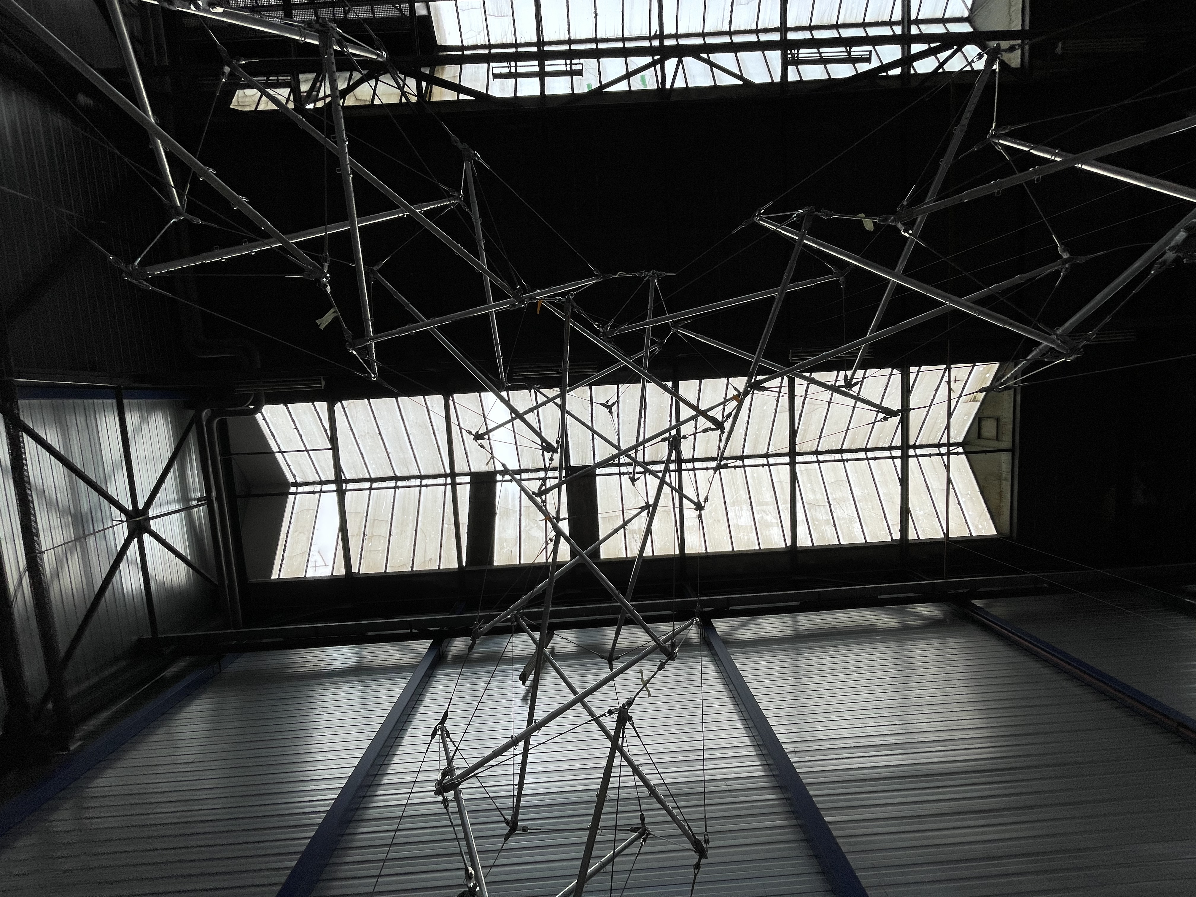 looking up